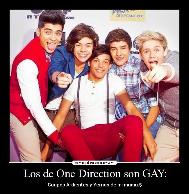 1 Direction Gay