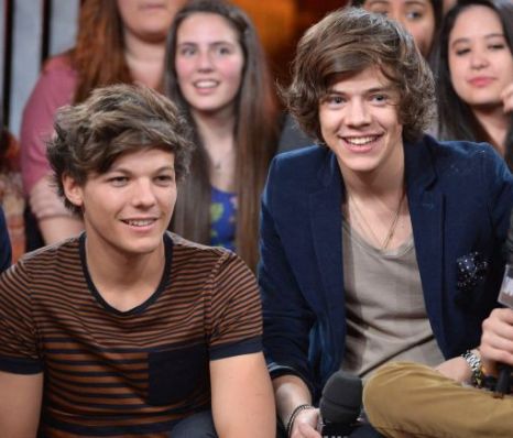 1 Direction Harry And Louis