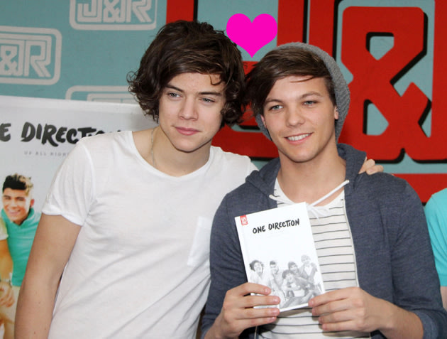 1 Direction Harry And Louis