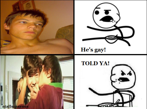 1 Direction Harry Gay