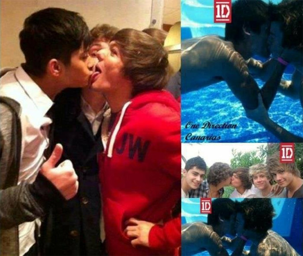 1 Direction Harry Gay