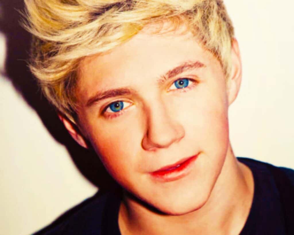 1 Direction Niall