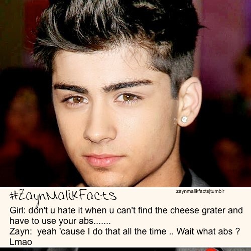 1 Direction Zayn Facts