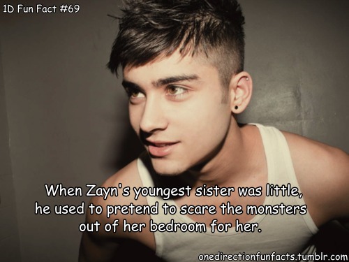 1 Direction Zayn Facts