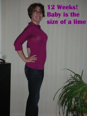 12 Weeks Pregnant Bump Size