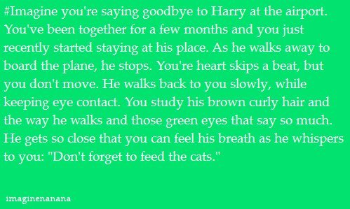 1d Imagines Harry Styles Tumblr