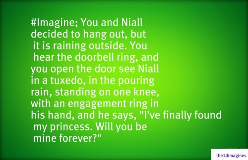 1d Imagines Niall