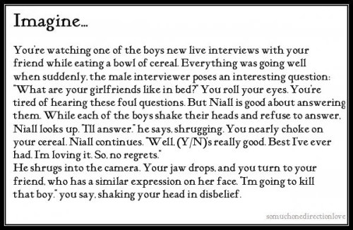 1d Imagines Niall