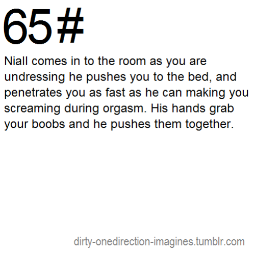 1d Imagines Niall Dirty