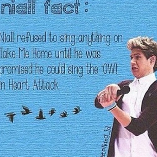 1d Imagines Niall Dirty