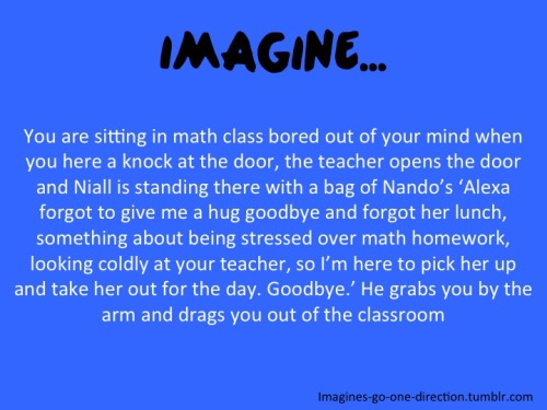 1d Imagines Niall Long