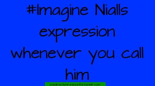 1d Imagines Niall Long