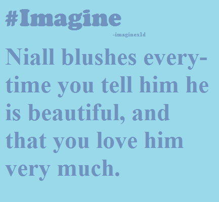 1d Imagines Niall Long