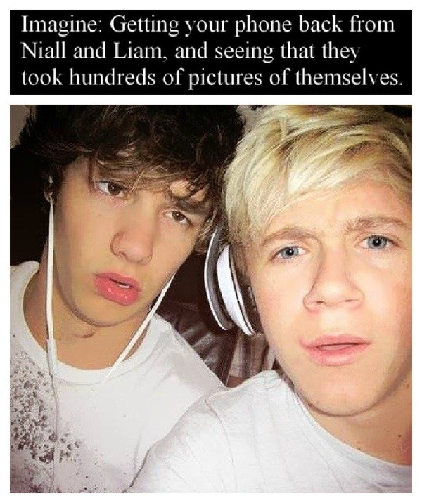 1d Imagines Niall Long