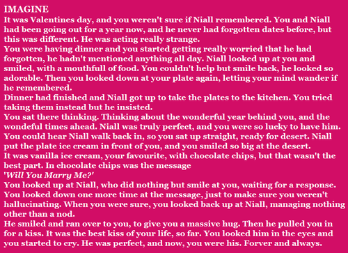 1d Imagines Niall Long