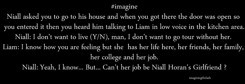 1d Imagines Niall Long