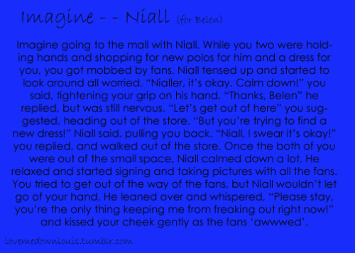 1d Imagines Niall Long