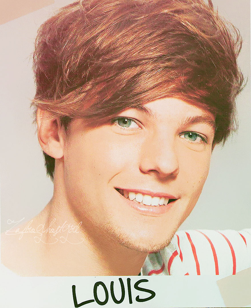 1d Pictures Louis