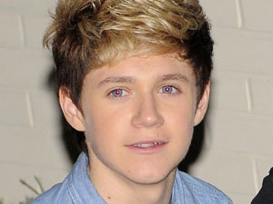 1direction Games Niall