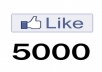 1 000 Likes On Facebook