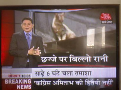 All News Channel Live India