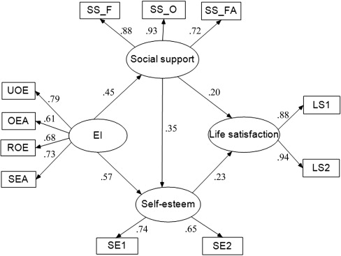 Bar On Emotional Intelligence Model