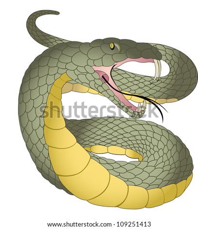 Black Green And Yellow Snake