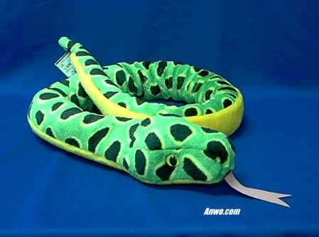 Black Green And Yellow Snake