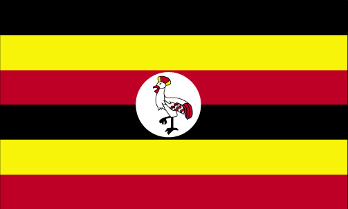 Black Red And Yellow Flag With Eagle