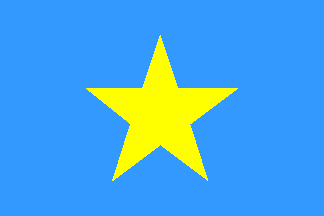 Blue And Yellow Flag With Stars