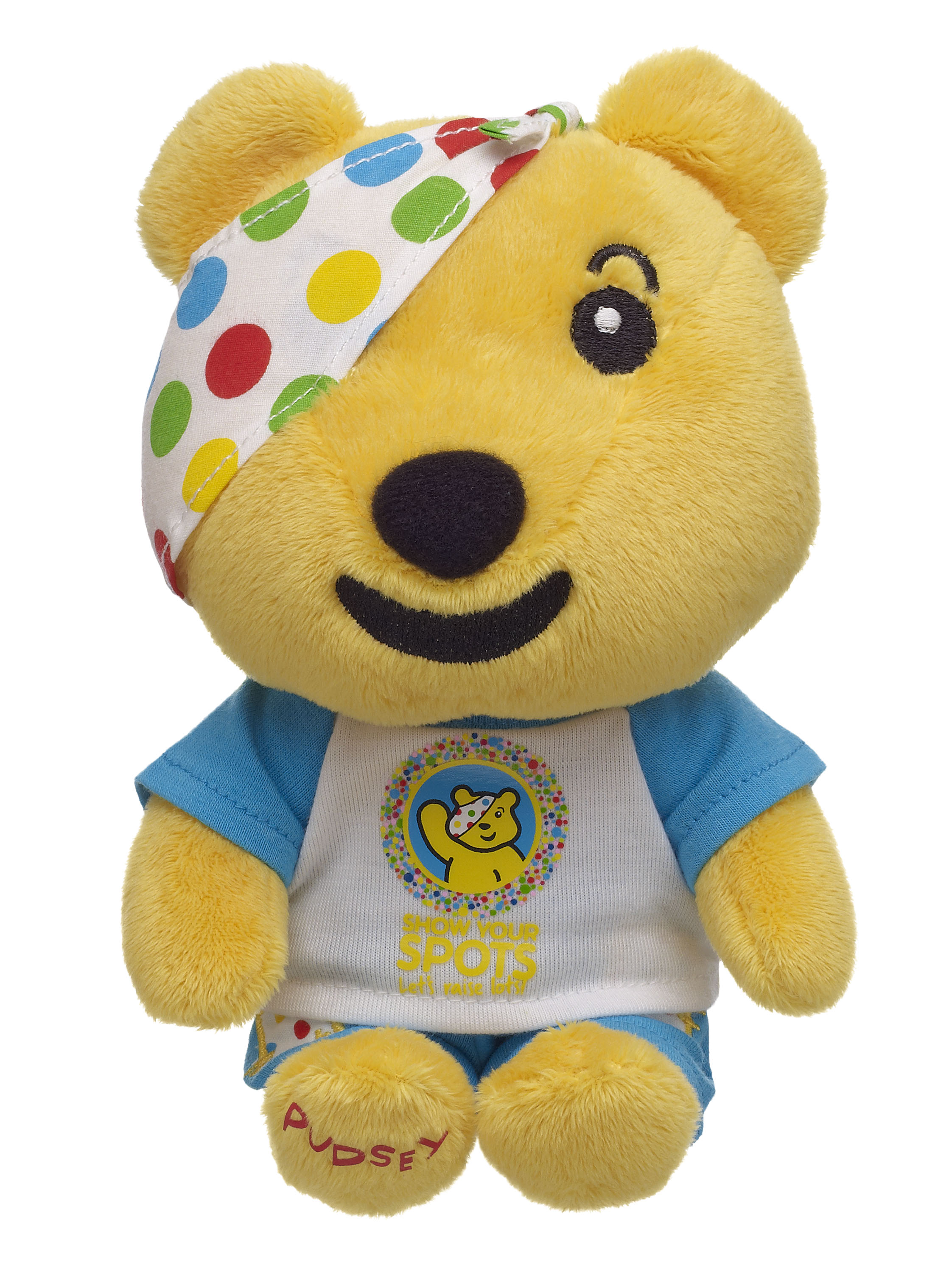 Children In Need Pudsey Bear Costume