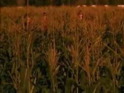 Children Of The Corn Movie Summary