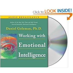 Daniel Goleman Emotional Intelligence Amazon