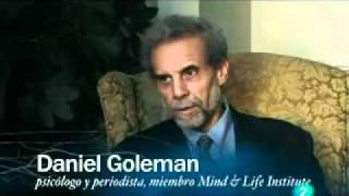 Daniel Goleman Inteligencia Emocional Descargar