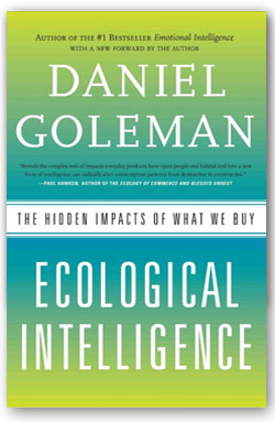 Daniel Goleman Social Intelligence Pdf