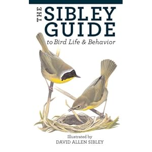 David Allen Sibley Blog