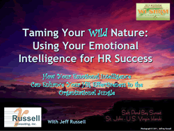 Emotional Intelligence At Work Ppt