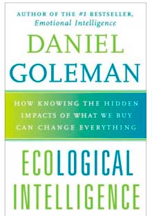 Emotional Intelligence Quotes Daniel Goleman