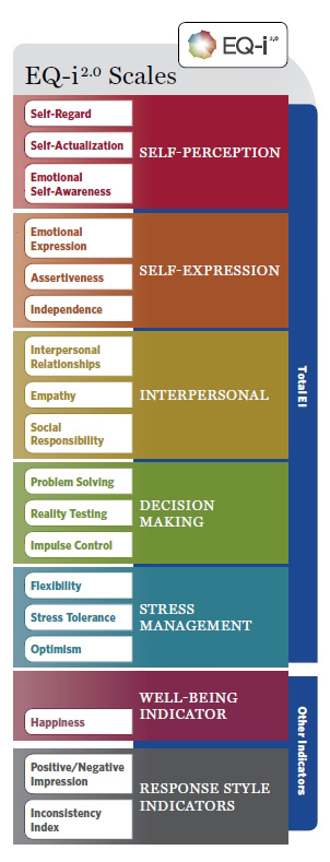 Emotional Intelligence Test 2.0