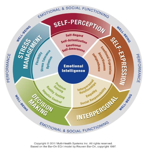 Emotional Intelligence Test Results