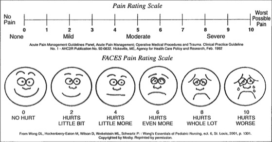 Emotions Chart Faces