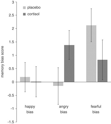 Emotions Faces Happy