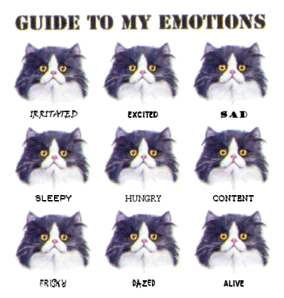 Emotions Pictures