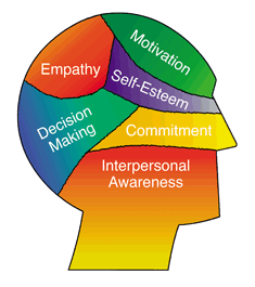 Goleman Emotional Intelligence Definition