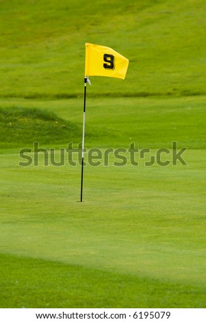 Green And Yellow Flag