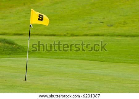 Green And Yellow Flag