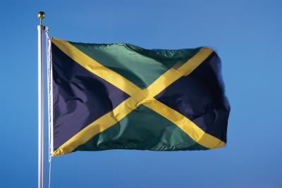 Green And Yellow Flag Country