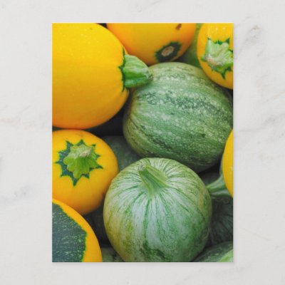 Green And Yellow Squash