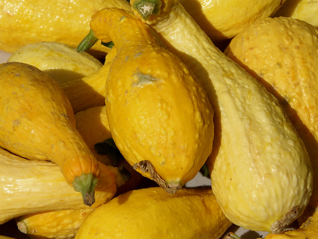 Green And Yellow Squash