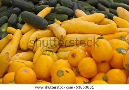 Green And Yellow Squash